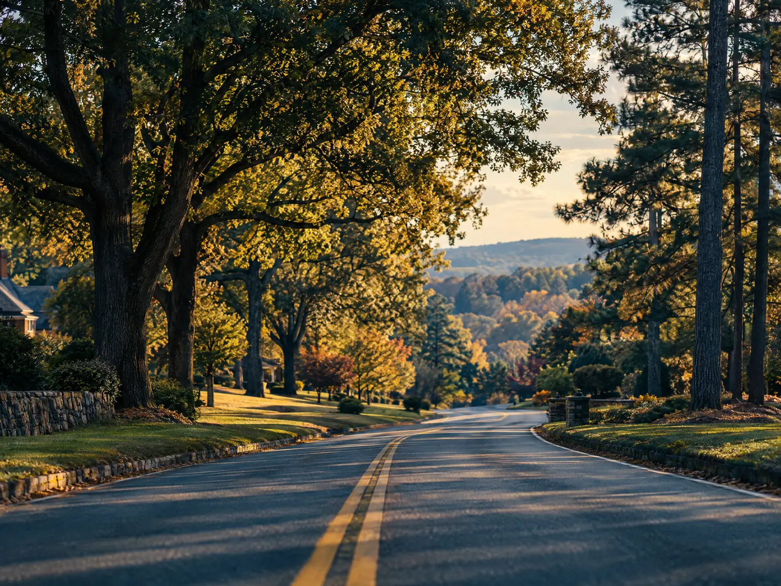 Wide road under a canopy of oaks and pines through rolling central Virginia suburbs